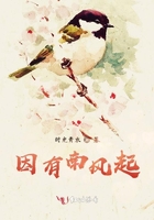 一路向西在线电影