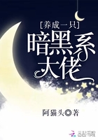风骚小保姆