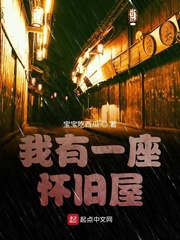 鸡毛飞上天电视剧全集