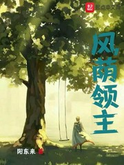 汉化组bl系列高h贴吧