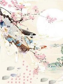 婉芳作品
