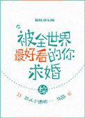 b哥动漫