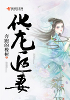 偷偷干夜夜拍