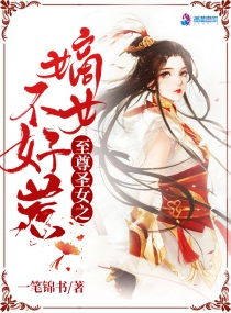 镜子骑士
