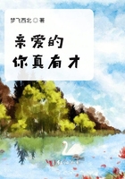 宫本武藏重做