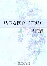 风之漫画海贼王