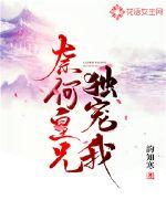 未来软件