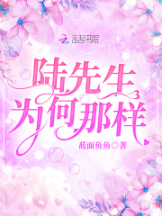 放羊的星星第二部