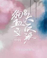 免费三直播在线观看