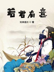 双生视界wiki