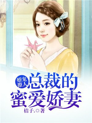 两个爸爸电视剧