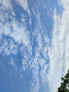 性感海滩2