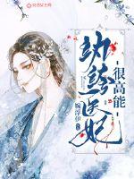 绿宝石386下载