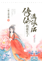 寨王的猎物元媛小说