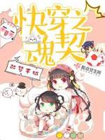 插进去综合网