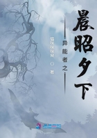 重庆拍到黑熊一家三口林中漫步