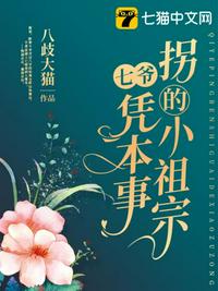 戴妃所有的小说
