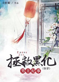 到我怀里来非木非石小说