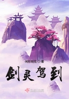 在线a无需安装播放器