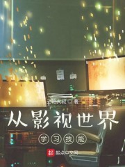 聚二甲基硅氧烷