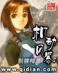japan hdv povn vides