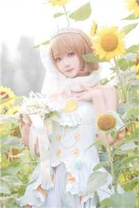 桂花蜜总攻