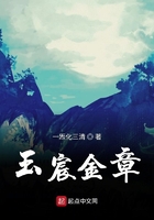 恋夜视频支持手机安卓
