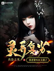 肖艾杨烁类似小说