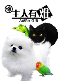 西安砂舞吧