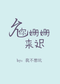 重生之御母双修1