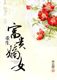 第二次人生多少集