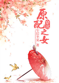 安琪小说