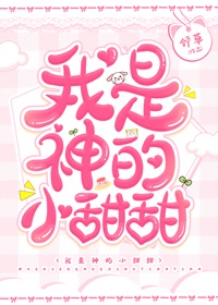 午夜视频导航
