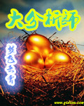 taco tuesday什么意思