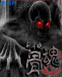 爱情公寓小说
