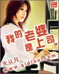 犬交小说