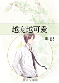 穿越到游戏里和各种npc做小说