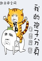 秘书和已婚上司h野合