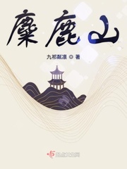 纪湘战四雄视频