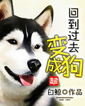 12123交管官网下载app