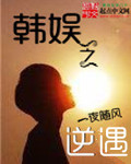 描写性的小说
