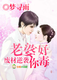 小马探花