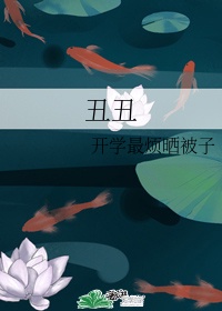一起来看流星雨