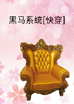 宠物小精灵之冠军txt