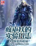 贴身兵皇