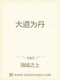 明星同款包包