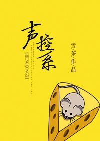 总裁宠妻法则