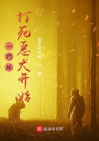 嫂子的秘密小白