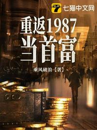 官场风流小说