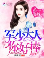 首席医官阿陈免费听书自动播放